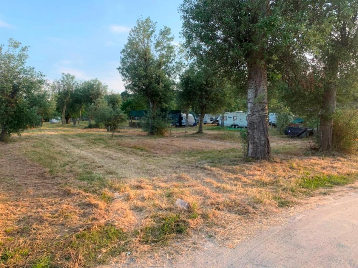 Paliouri Luxury Bungalows Esterno foto